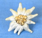 Heer Edelweiss for the Gebirgsjäger Visor Cap thumbnail