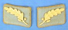 SA Standartenführer Collar Tabs Bayerische Ostmark thumbnail