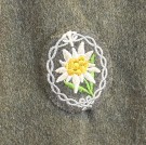 Heer Gebirgsjäger Leutnant M36 Style Tunic thumbnail