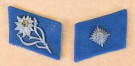 SA Scharführer Collar Tabs Bayerische Ostmark thumbnail