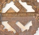SA sports badge bronze thumbnail