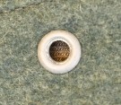 Heer Panzerjäger Troops, EM/NCO´s Side cap with soutache thumbnail