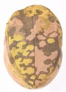 Waffen SS M42 Camouflage Field Cap « Oakleaf » material. thumbnail
