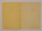 Award document Reichsportabzeichen in Bronze thumbnail